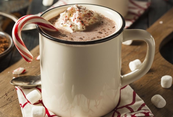 سحلب نوتيلا